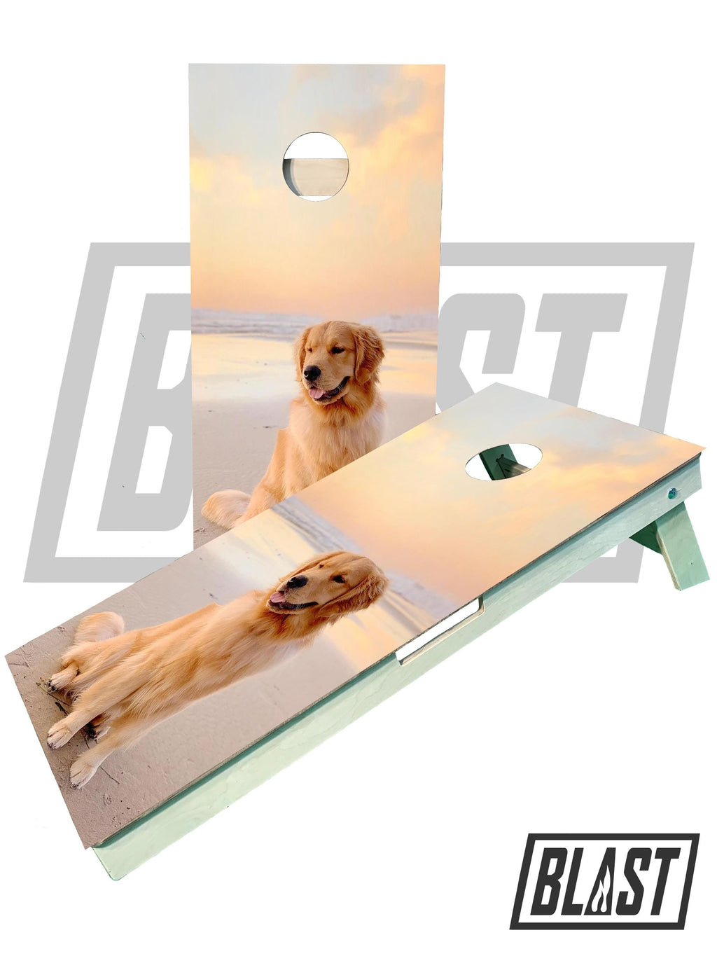 Custom Cornhole Boards (Your Company Logo, Image, Sport Team, or other Custom Design Request)