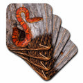 3dRose Danita Delimont - Snakes - Corn Snake Emerging from Hole in barn. - Coasters (CST_345275)