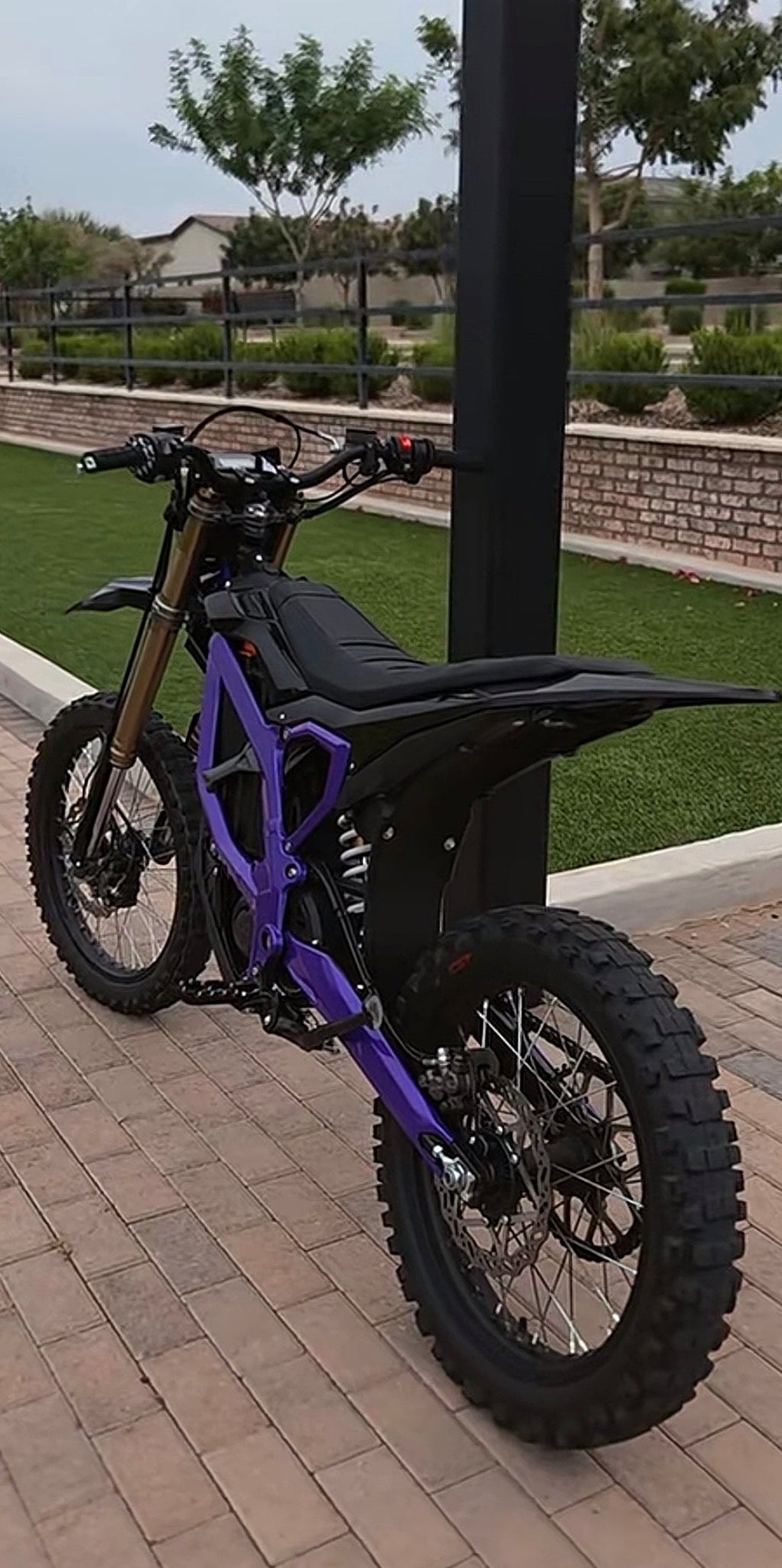 Surron ultra bee (professional painted) frame guard