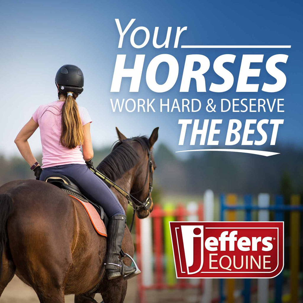 Jeffers Uniquely English Horse Tendon Boots, 2-Pack