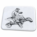 3dRose American cool ATV Four Wheeler Quad Bike Off Roader - Dish Drying Mats (ddm-261502)