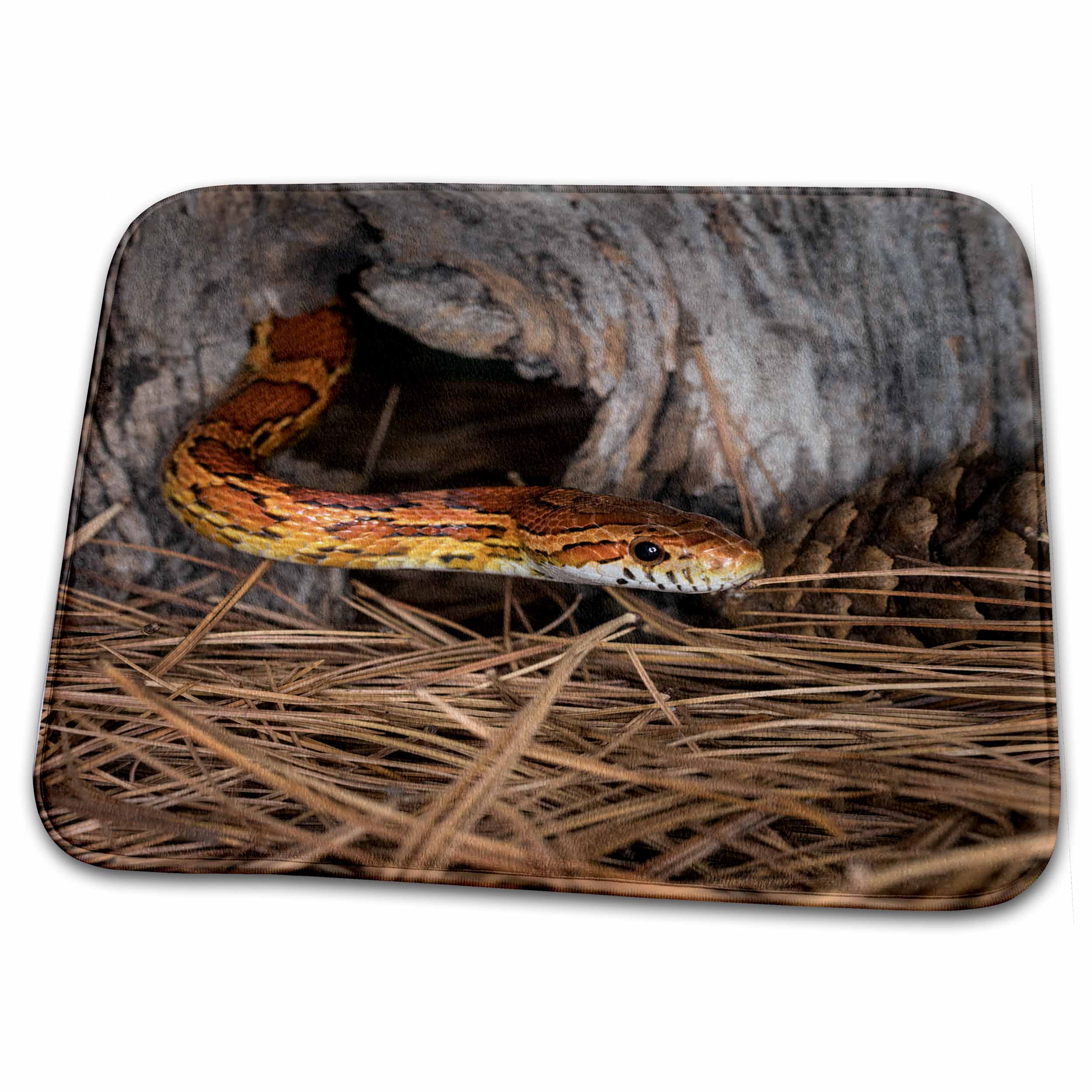 3dRose Corn Snake emerging from hole in barn. - Dish Drying Mats (ddm-345274)