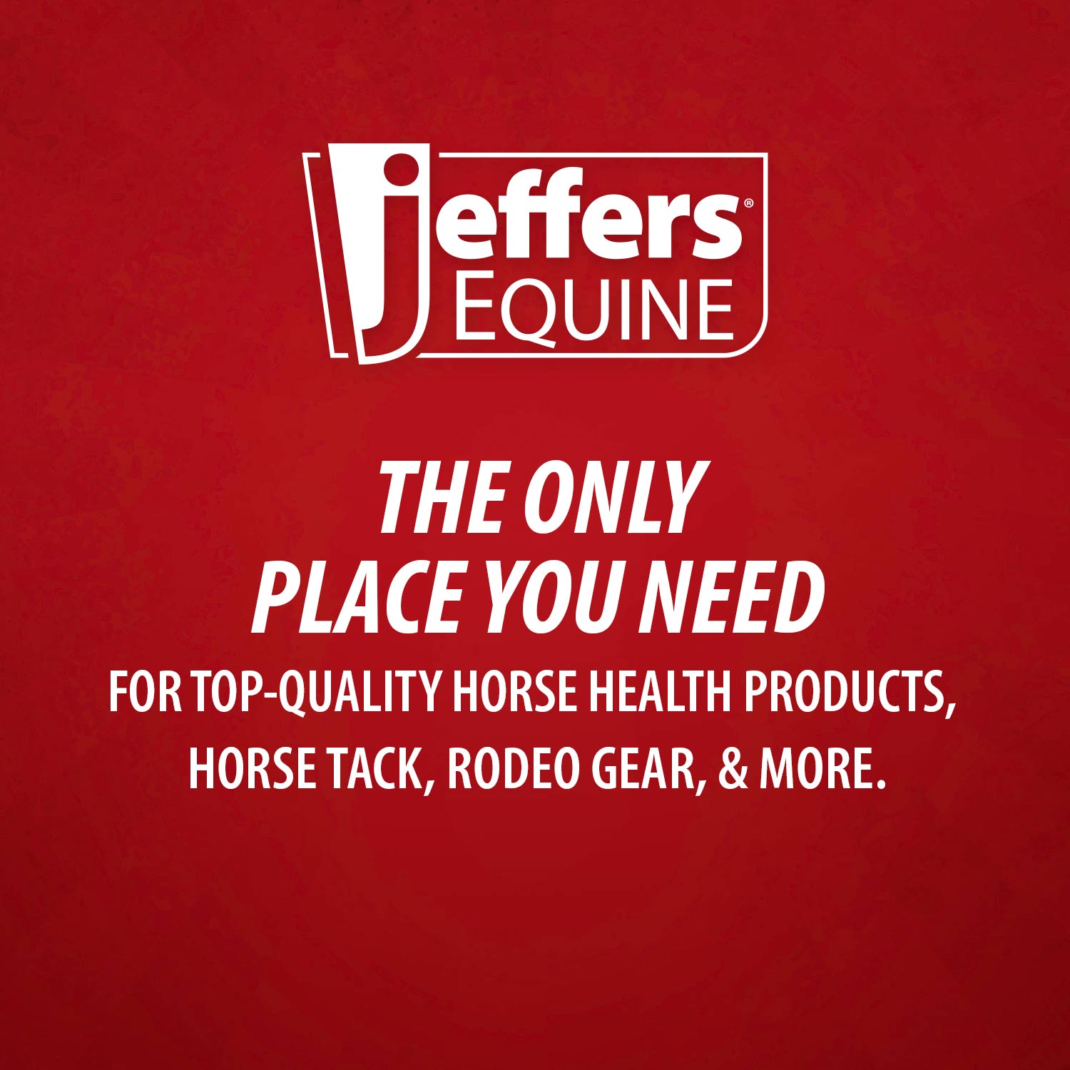 Jeffers Protective Horse Boots, Solid Colors