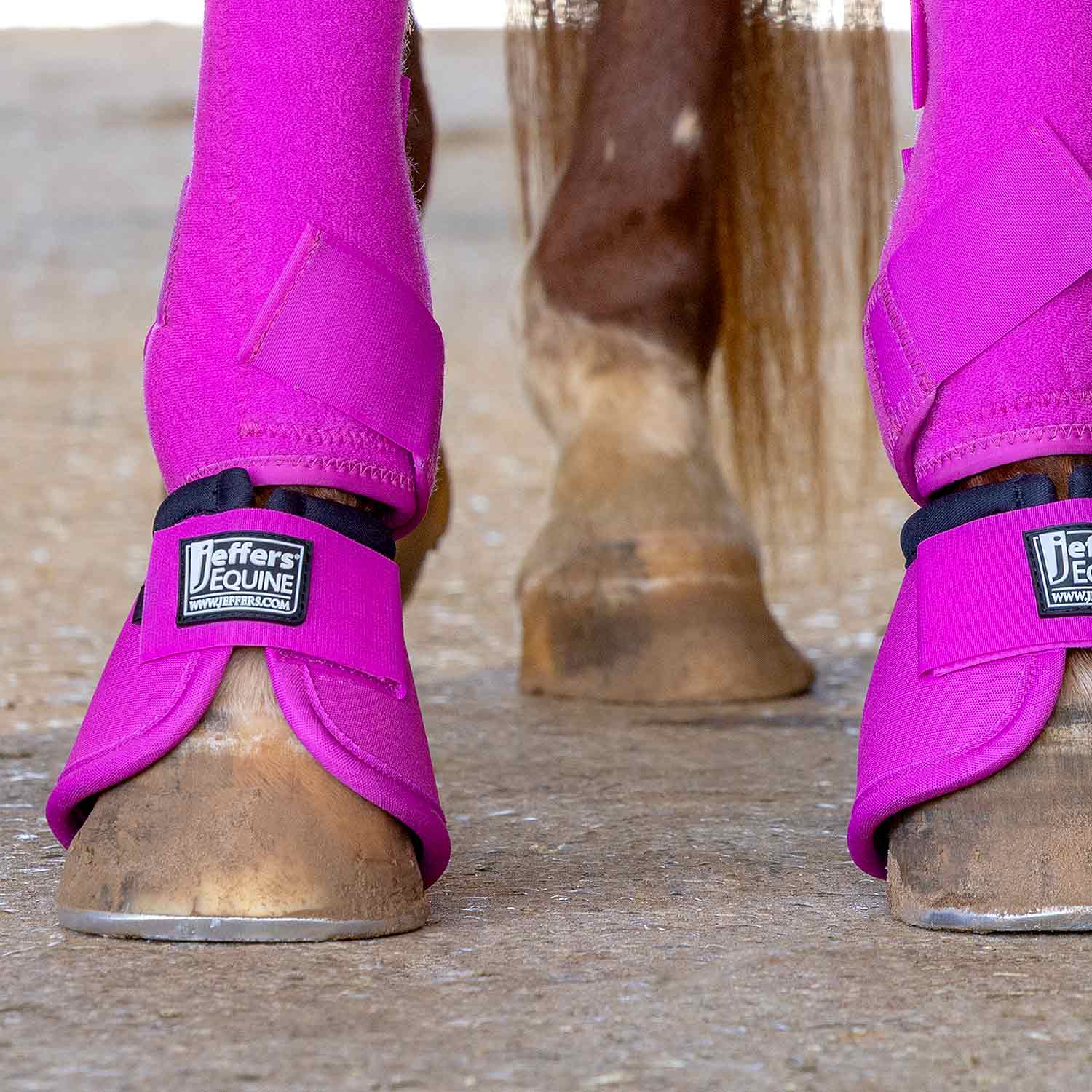 Jeffers Protective Horse Boots, Solid Colors