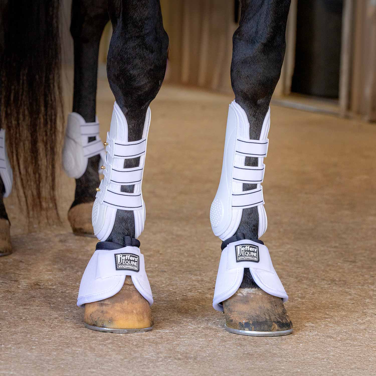 Jeffers Uniquely English Horse Tendon Boots, 2-Pack