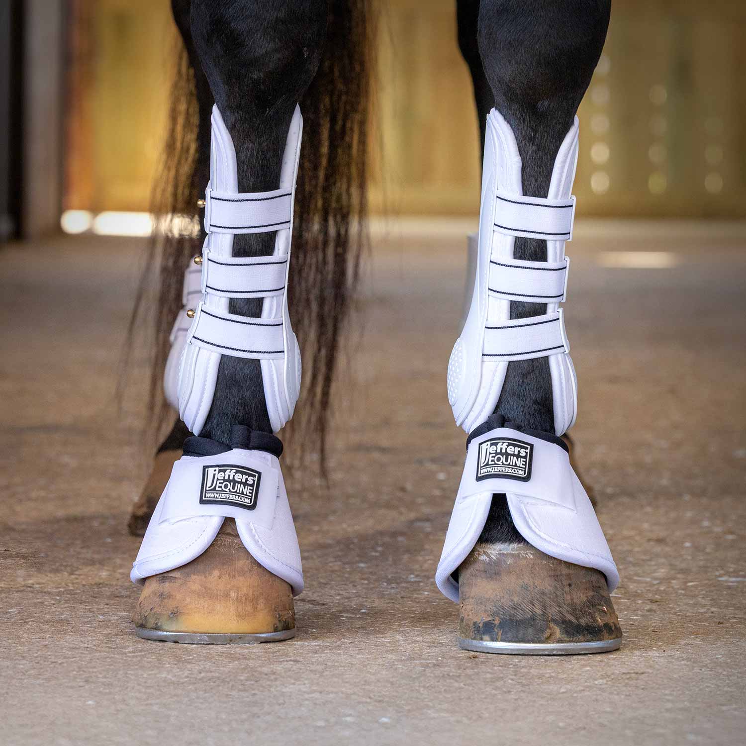 Jeffers Uniquely English Horse Tendon Boots, 2-Pack
