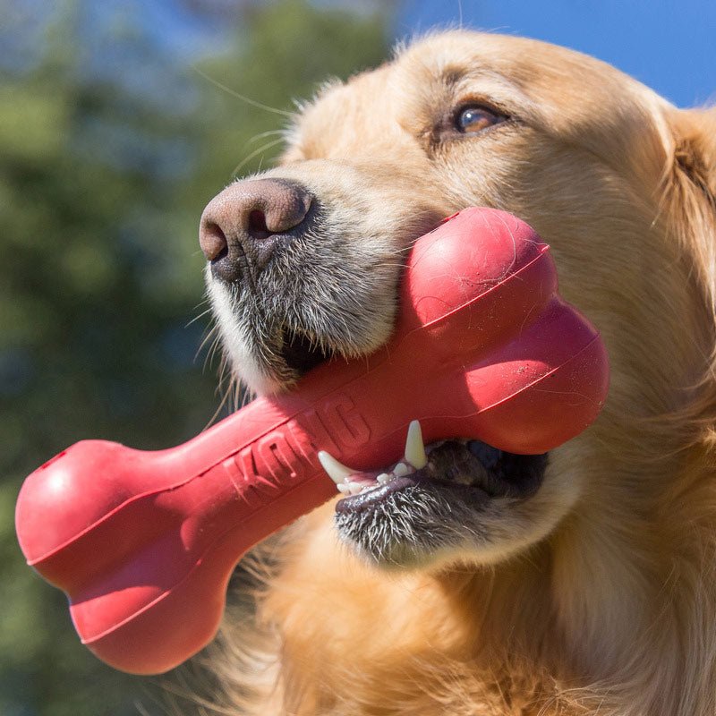 KONG Goodie Bone Rubber Dog Chew Toy, Medium