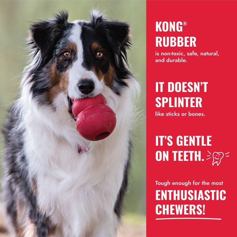 KONG Goodie Bone Rubber Dog Chew Toy, Medium